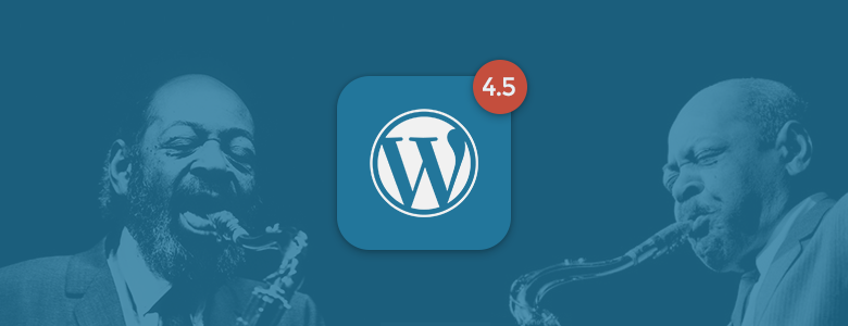 wordpress45